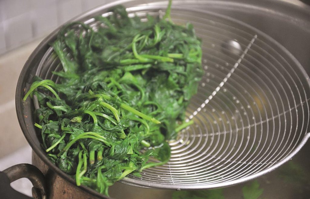 Wormwood boiled in water
