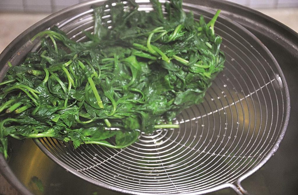 mugwort boiled water